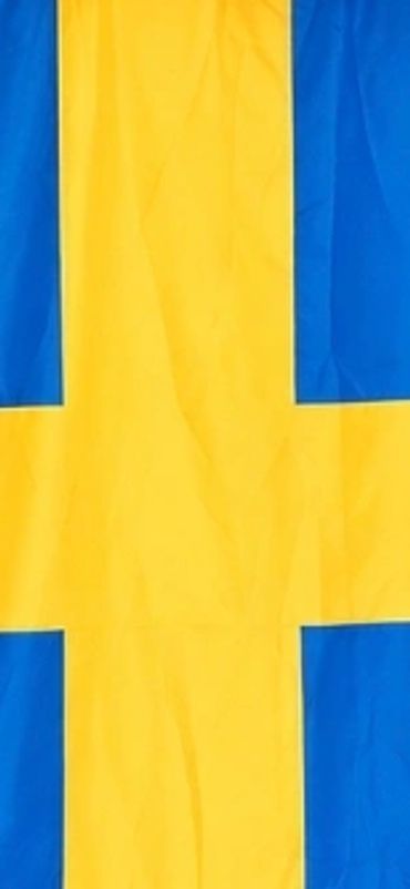 Blue and yellow Swedish flag backdrop for balloon decoration events.