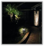 Walkway and Column - MOONLIGHT Landscape Lighting - 23 Years in Windermere, Orlando, Winter Park, and Central Florida - 407.654.3133 - MoonlightLandcapeLighting@yahoo.com