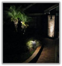 4 - Installation Pictures - MOONLIGHT Landscape Lighting - Over 20 Years in Windermere, Orlando, Winter Park, and Central Florida - 407.654.3133 - MoonlightLandscapeLighting@yahoo.com