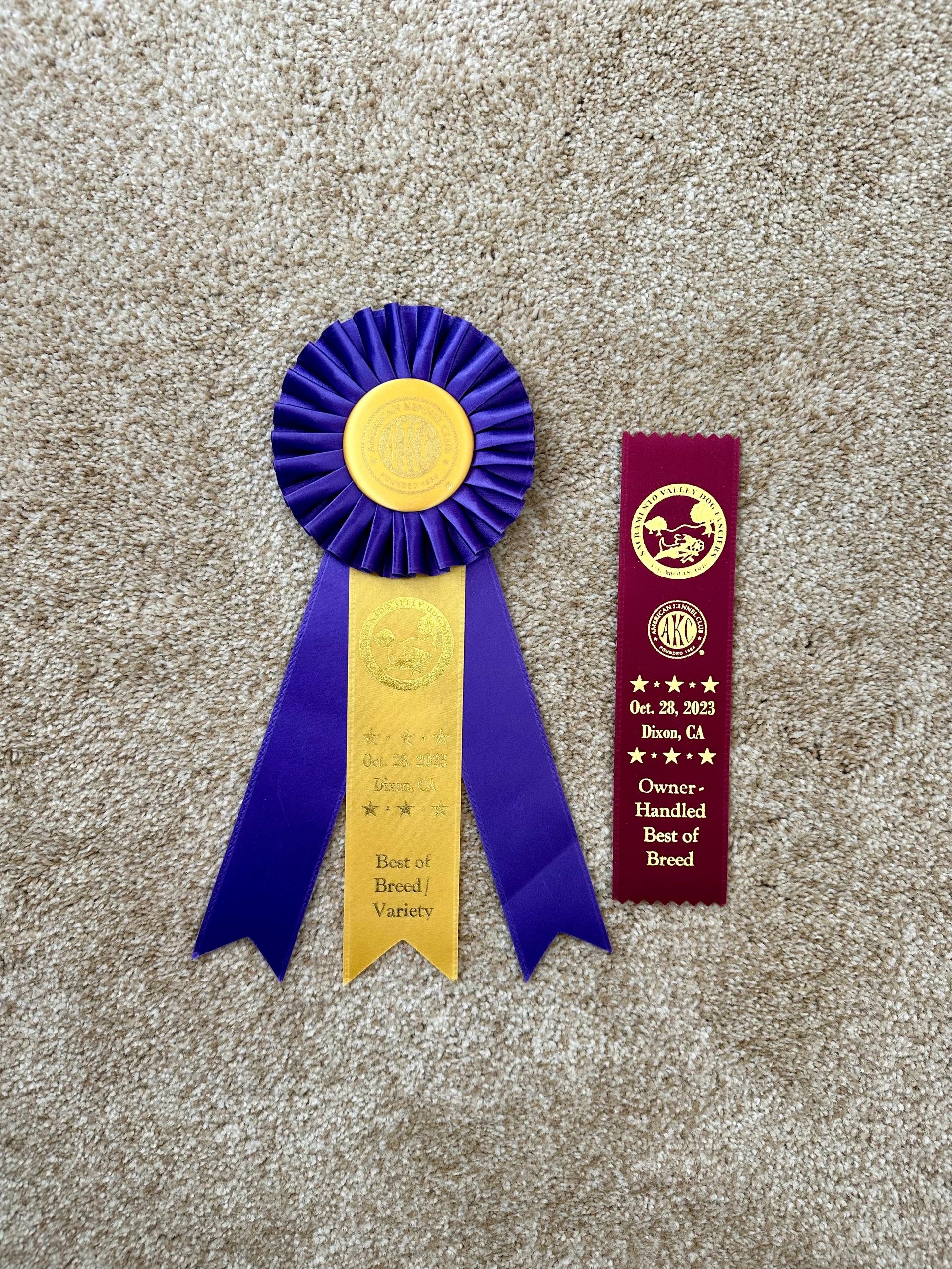 Sunshine Awards & Titles