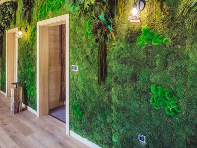 Bemoss Preserved Plants Wall