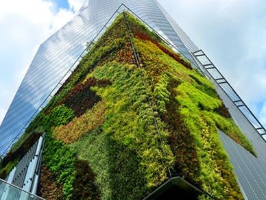 Elmich Green Wall