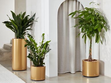 Hobby Flower -   KAVA Collection

Self watering Planters Made in Spain