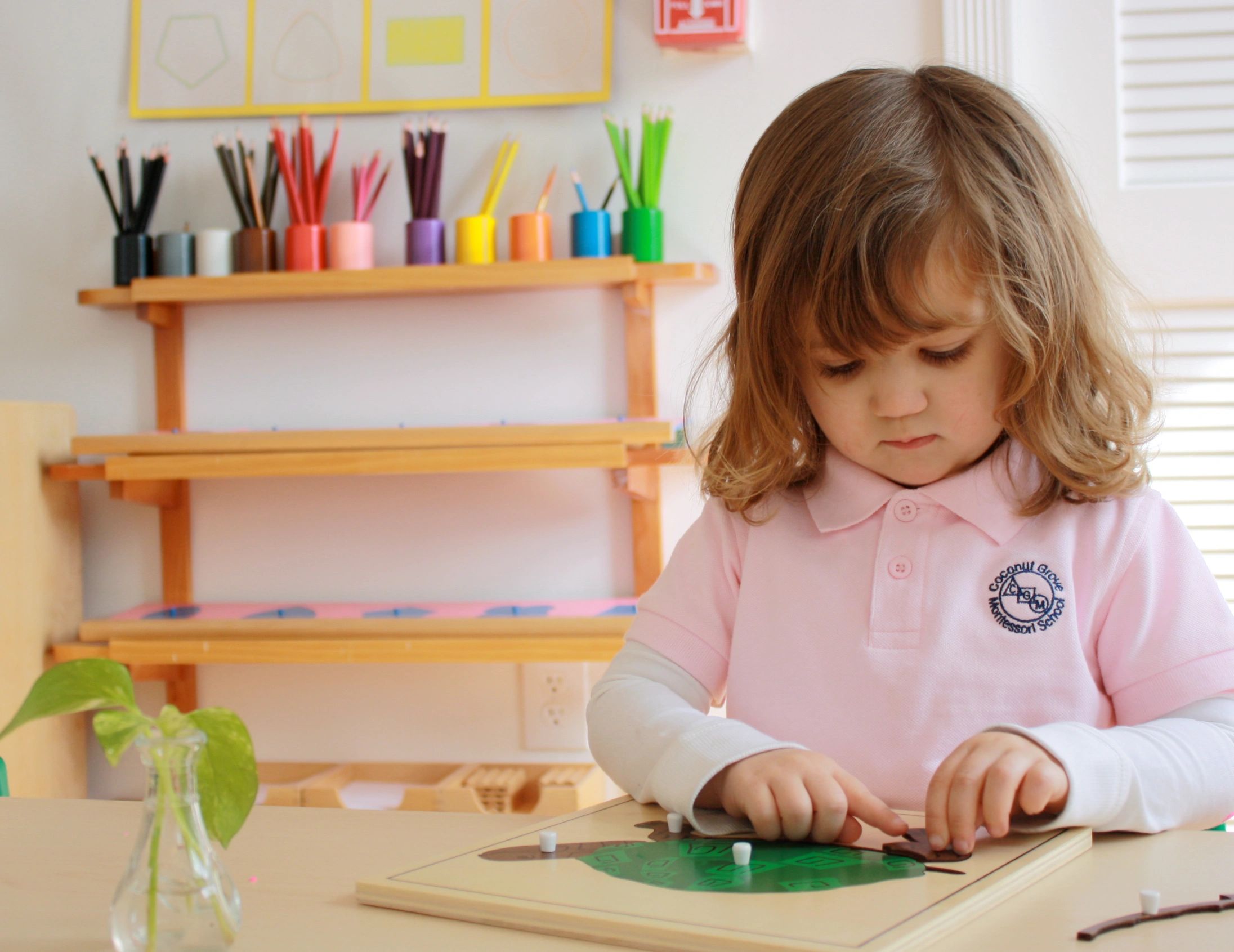 Coconut Grove Montessori School