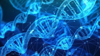 Visualization of DNA double helix structures in blue.