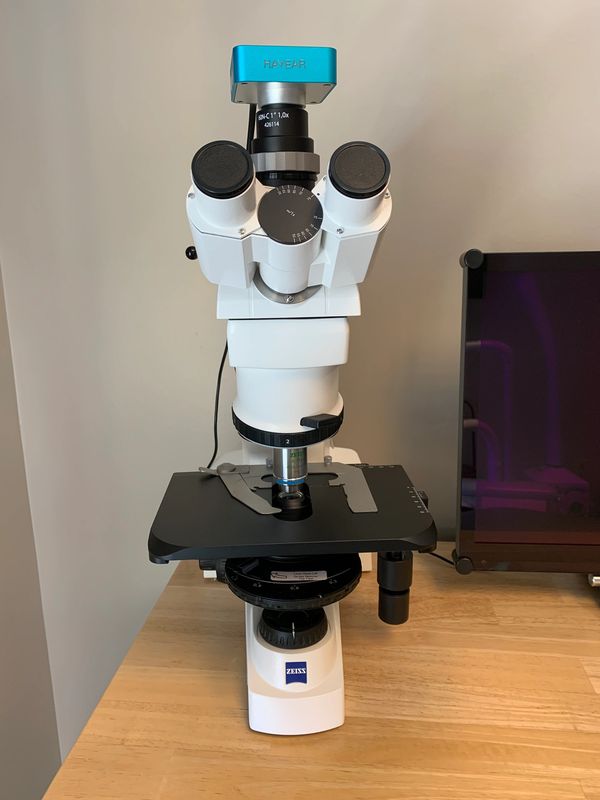 Dental microscope for oral biofilm evaluation.