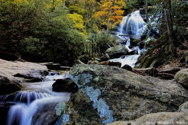 Hex.guibin at Catawba Falls, NC USA