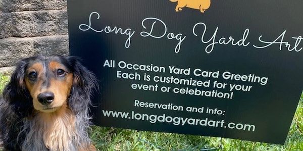 Dachshund mascot for yard card greetings and signs