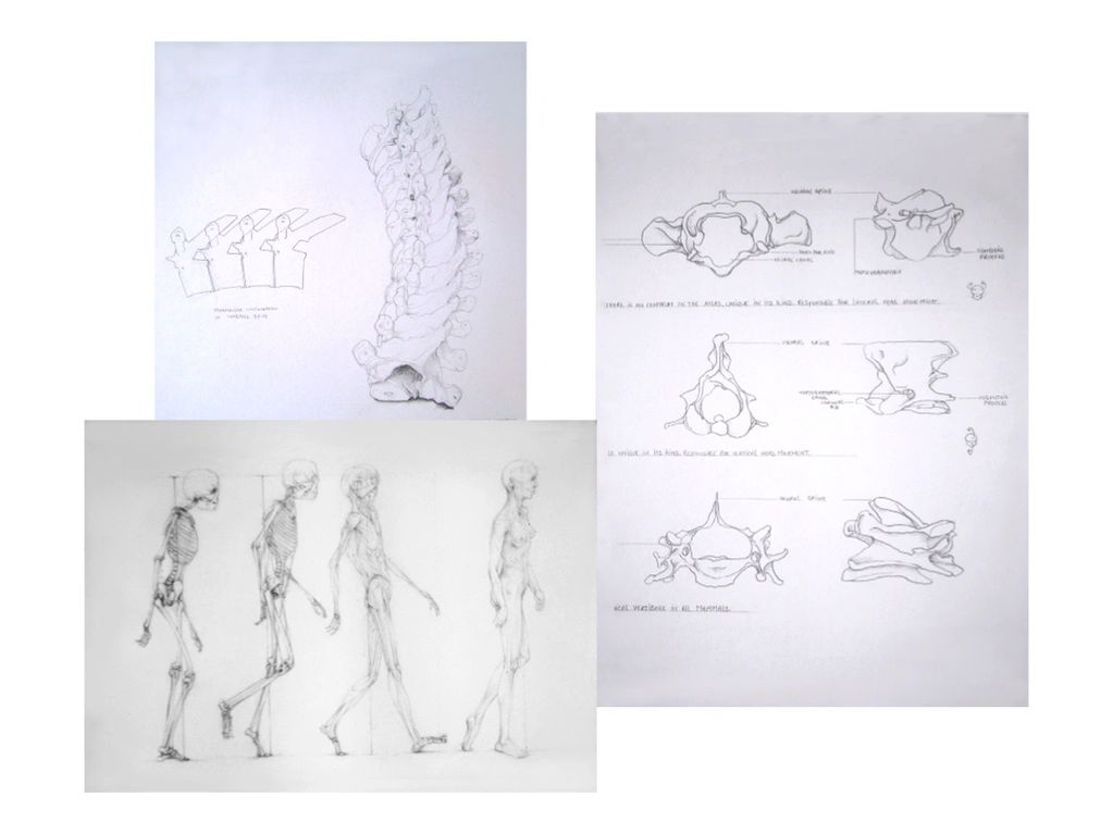 Quick View Spine work