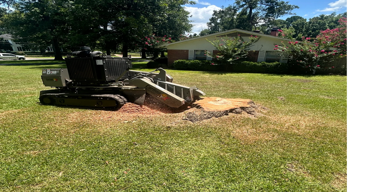 Stump Removal Tyler Texas