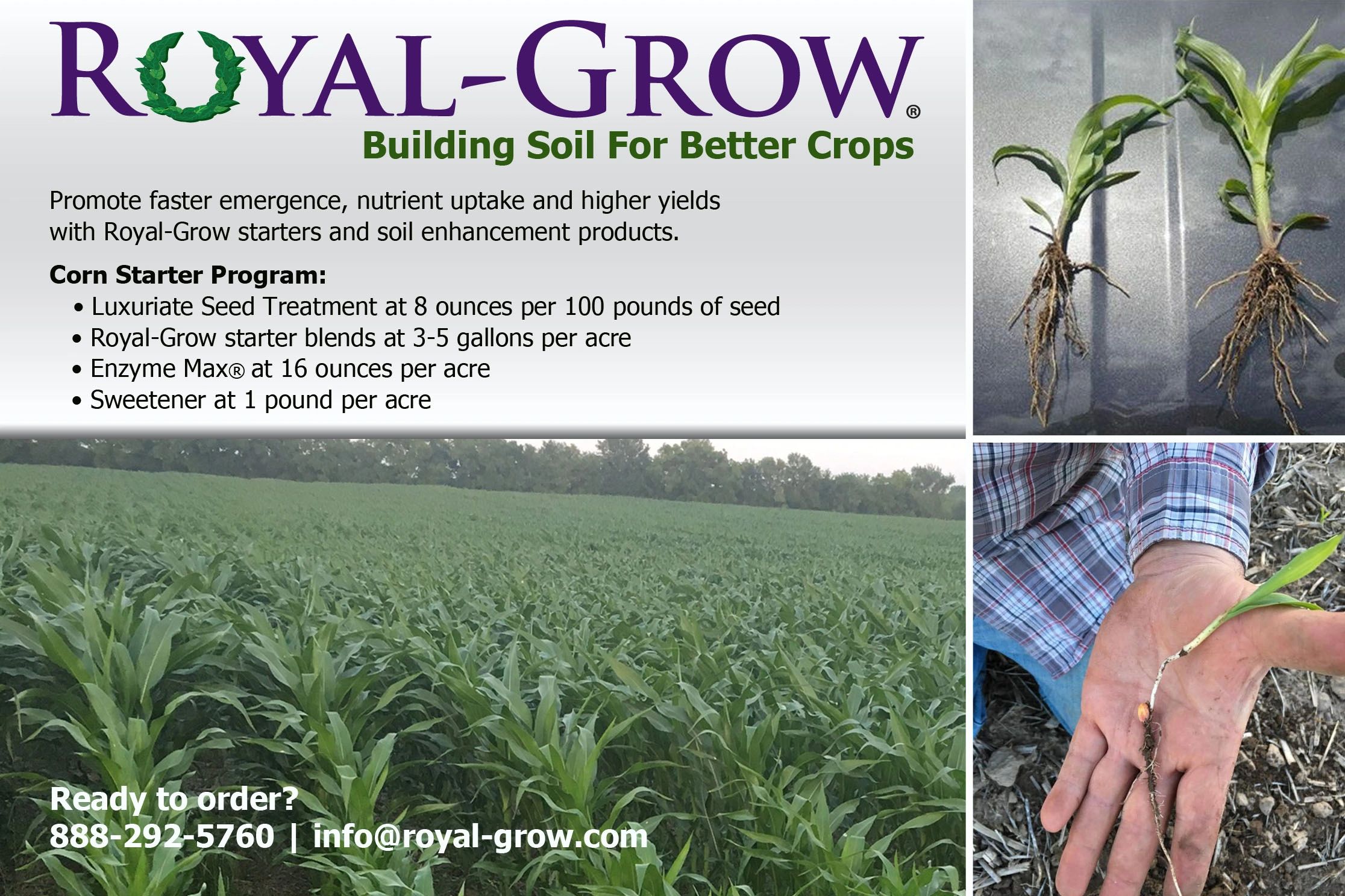 Corn Starter Program