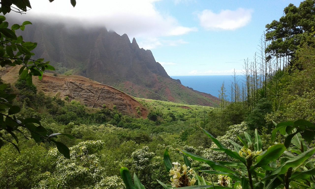 ENDANGERED: Pakalōlō, Places & People of Hawai’i