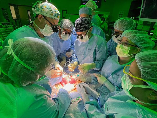 Multidisciplinary care team that provides fetal surgery, including fetoscopic MMC repair in Utah