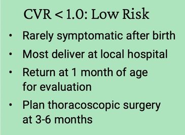 Multidisciplinary care plan for low risk CPAM at the Grant Scott Bonham Fetal Center