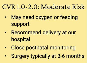 Multidisciplinary care plan for moderate risk CPAM at the Grant Scott Bonham Fetal Center
