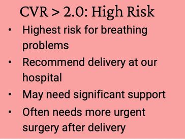 Multidisciplinary care plan for high risk CPAM at the Grant Scott Bonham Fetal Center