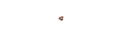 Coast 2 Coast Coffee Roasters