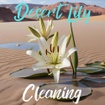 Desert Lily Cleaning