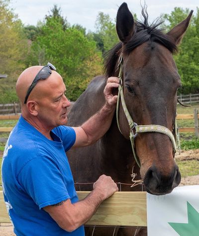 A man gently touches a horse over a wooden fence in a green outdoor setting.