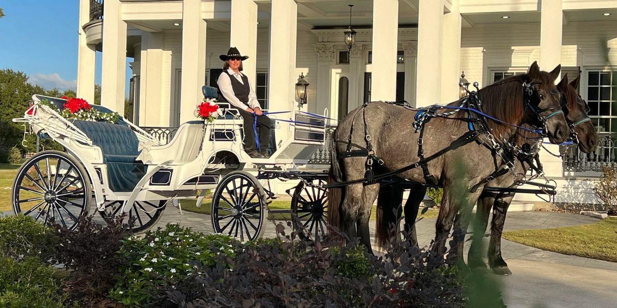 Horse drawn carriage at a wedding venue. 