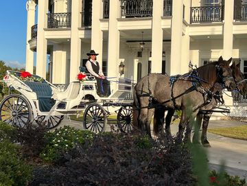 Horse carriage sitting in front of a wedding venue

