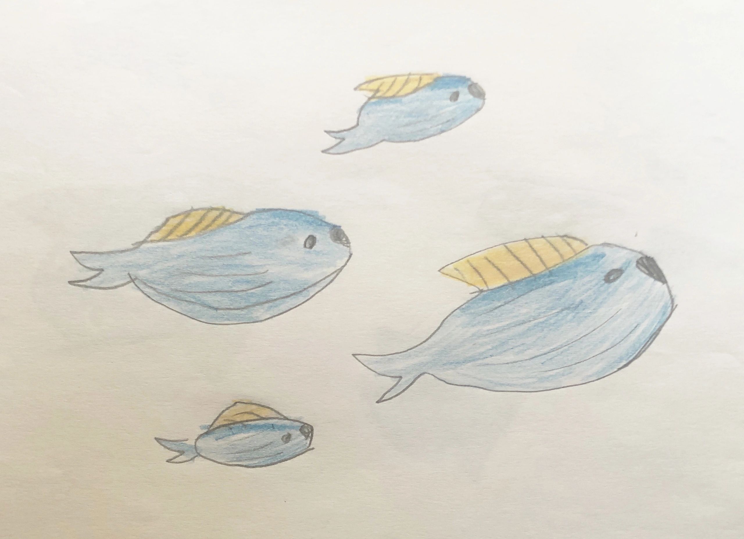 Fish. Crayons on craft paper. Age 6