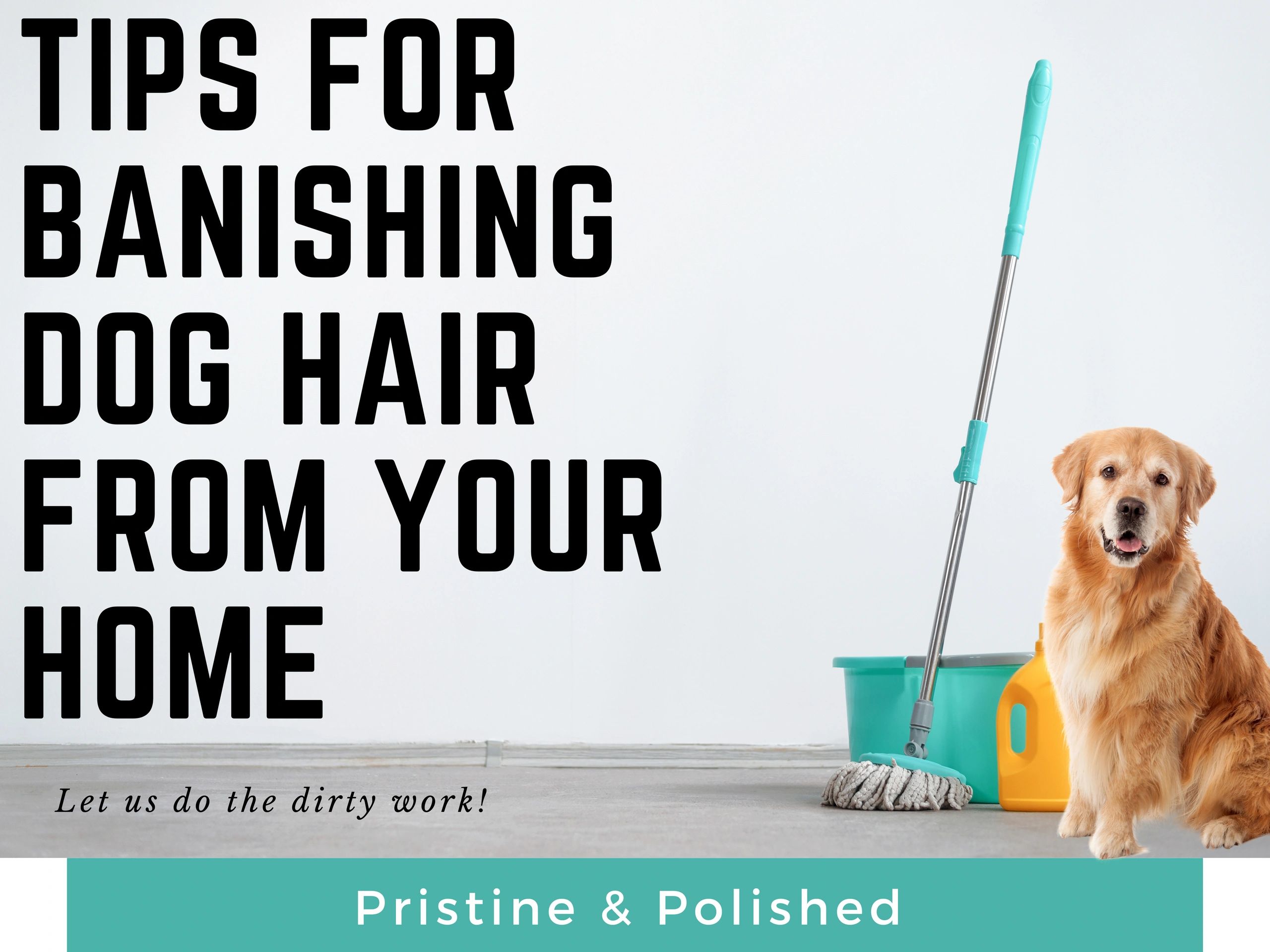 Tips for ridding your home of pet hair