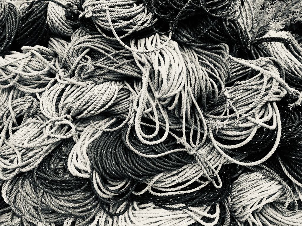 A pile of coiled ropes in black and white.