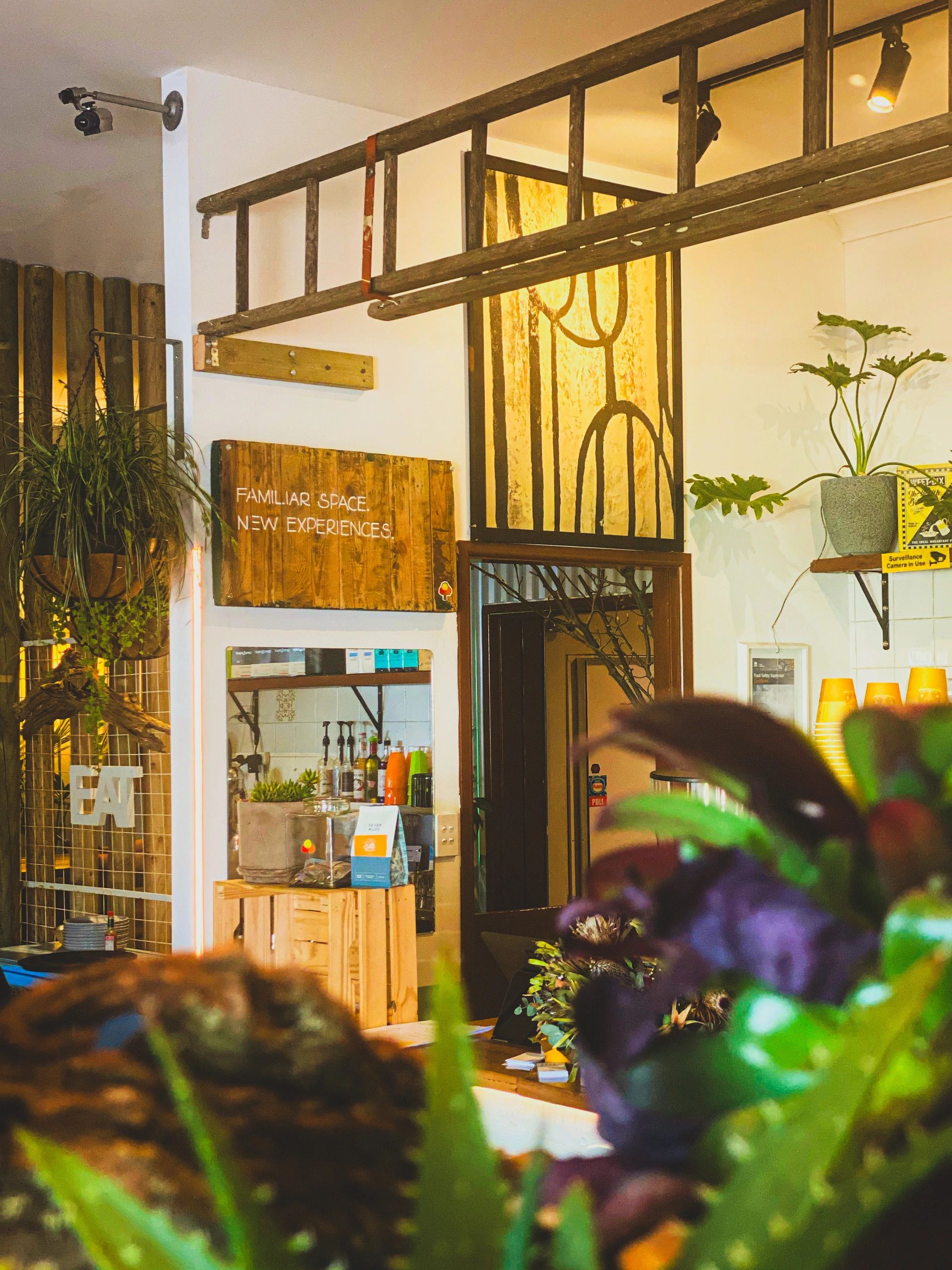 Cafe, Restaurant Café Lurline Katoomba, New South Wales