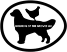 Goldens of the Groves LLC.