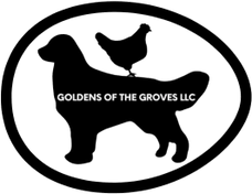 Goldens of the Groves LLC.