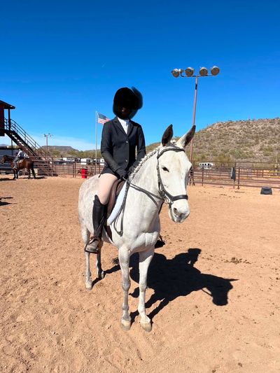 Rider on a white horse in a desert arena under a clear blue sky.