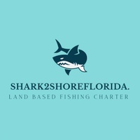 Shark 2 Shore Florida