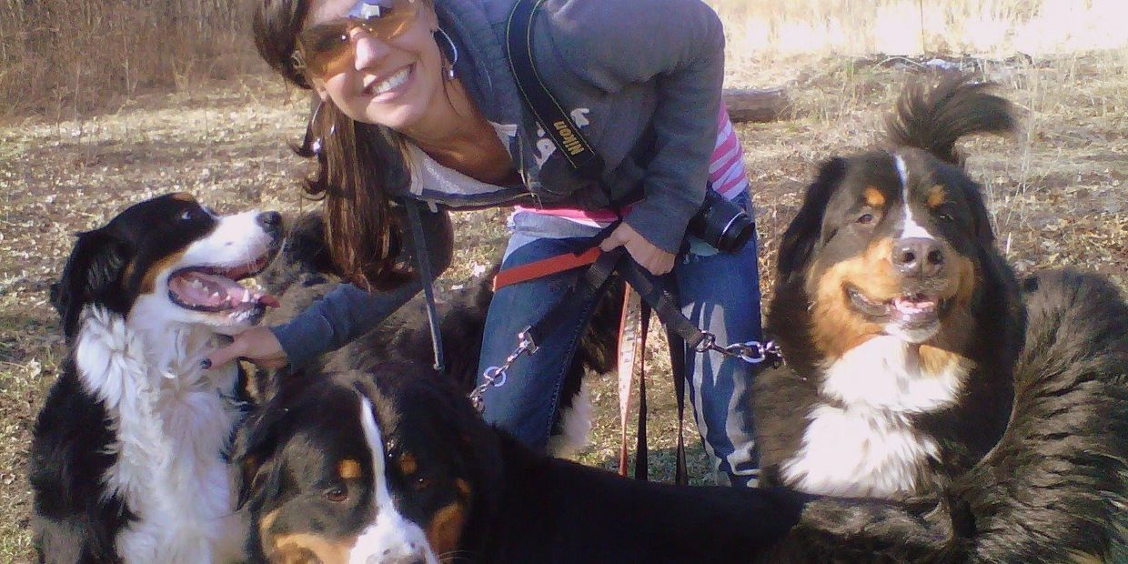 Some of my favorite dogs from my life! Jones, Charlie and Miles #bernesemountaindogs