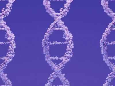 Three DNA double helix structures against a purple background.
