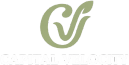 Capital Velocity