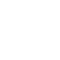 The Business Cheerleader
