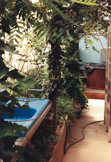 Outdoor blue sink among plants.