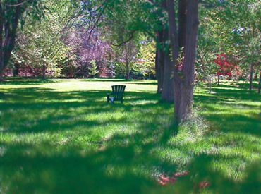 Above and Below: The Grounds Surrounding the Studio