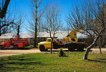 The Crane is Available for Moving Large Projects