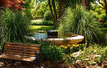 Garden fountain surrounded by greenery.