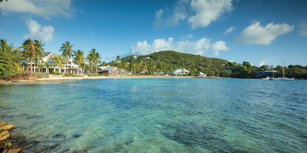 Tropical beachfront with clear blue water and palm trees under a sunny sky.