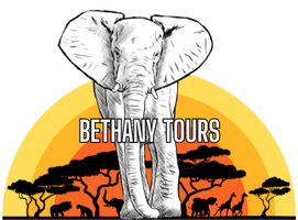 Tourist Guiding Service