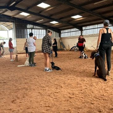 Group dog training class with owners 