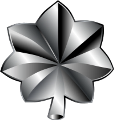 Silver military rank insignia with a leaf design.