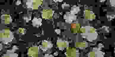 image134