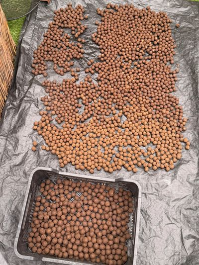 Clay balls drying on a tarp with a basket full of more clay balls.