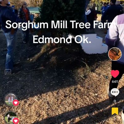 People gather around a Christmas tree at Sorghum Mill Tree Farm in Edmond, Oklahoma.