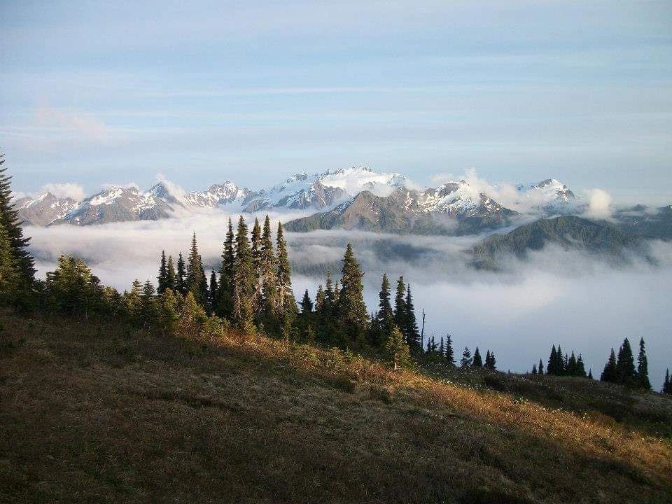 PNWC Guide Service Roosevelt Elk, Black Bear Hunting, Guided Elk Hunts