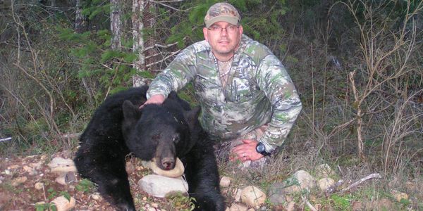 Black bear guided hunting.